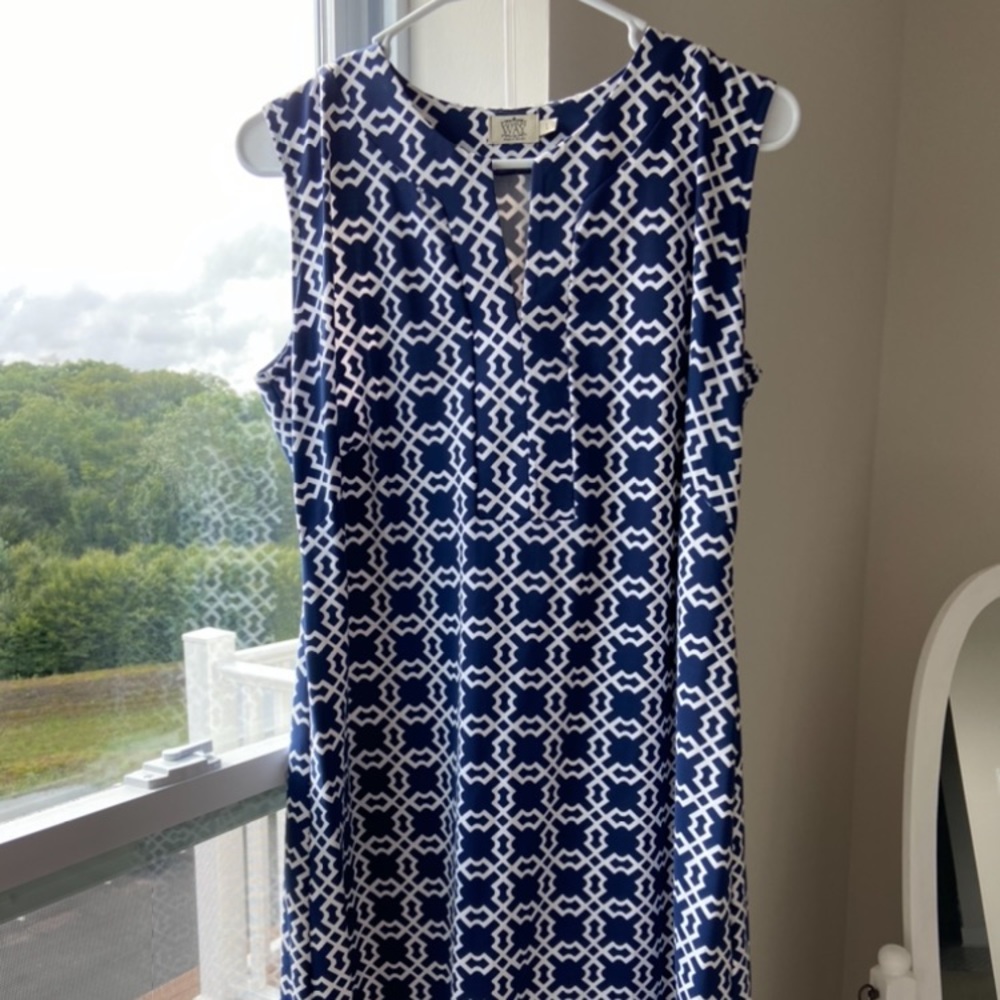 Katherine Way Navy and White Shift Dress